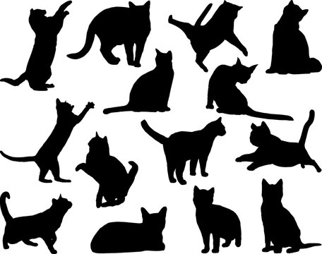 Set of Cats Silhouette, Animal Bundle, Pet