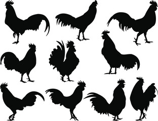Set of Roosters Silhouette, Animal Bundle