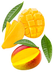 Mango with a leaf exotic fruit with slice isolated on white background. Clipping Path. Full depth of field.