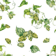 Hop vine, plant humulus watercolor seamless pattern isolated on white background. Hop on brunch with leaves, hop cones hand drawn. Design element for wrapping, label, packaging, paper, textile