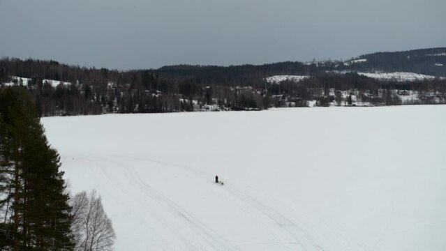 Siberian Huskies Pulling Person Standing On Sled On Snow In Sundsvall, Sweden. aerial tracking