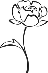 Peony flower. Black line drawing of peony isolated on a white background. Vector line art illustration