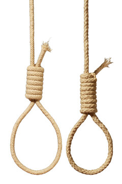 noose isolated on transparent. suicide concept