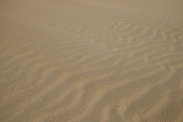 Fototapeta na wymiar Waves of sand on the seashore. Selective focus. Close up. Background