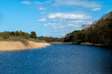 Prerower Strom, Blick Richtung Osten, vom Hauptübergang aus, Ostseebad Prerow, Fischland-Darß-Zingst, Ostseeküste, Nationalpark Vorpommersche Boddenlandschaft, Mecklenburg-Vorpommern, Deutschland