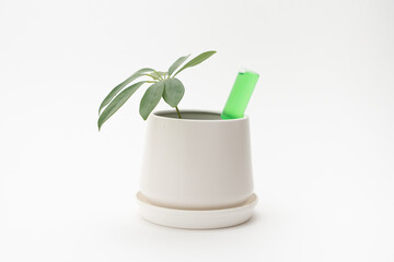 観葉植物の活力剤
