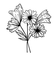 black and white flowers