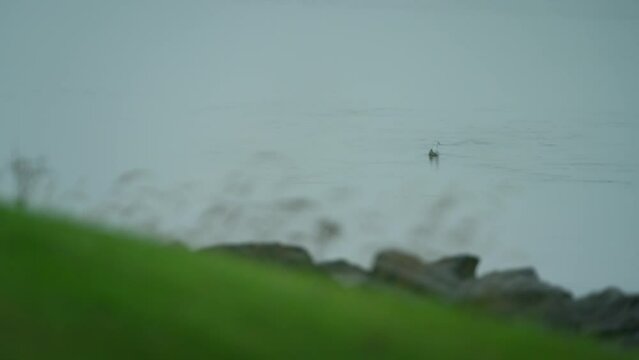 Loch Ryan Near Stranraer In Scotland