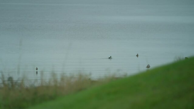 Loch Ryan Near Stranraer In Scotland
