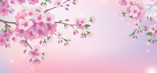 Obraz na płótnie Canvas Spring soft background with a branch of cherry blossoms. Blooming cherry blossoms. Natural design.