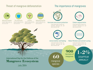 Infographic about the mangrove ecosystem, what is its threat and the importance of the mangrove, silhouette of a mangrove, with icons on a colored background.