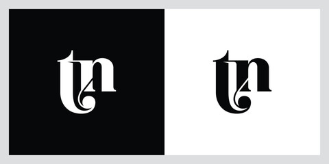 Initial TN, NT Alphabets Letters Logo Monogram
