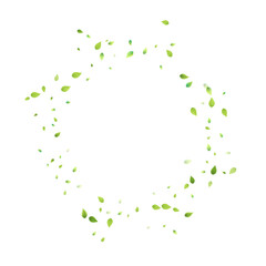 Obraz premium Leaves Green Falling Flying Foliage Leaf Tea Mint