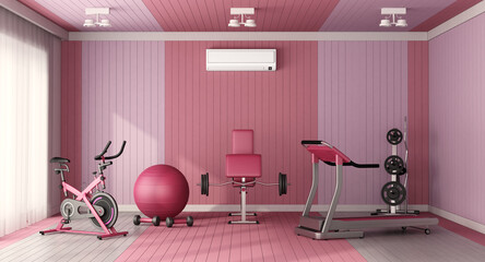 Pink and lilla Gym room with Fitness set room with stationary bike and weight machines on white
