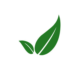 Leaves icon vector set isolated on white background. Ecology icon set