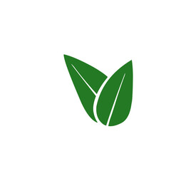 Leaves icon vector set isolated on white background. Ecology icon set