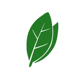 Leaves icon vector set isolated on white background. Ecology icon set