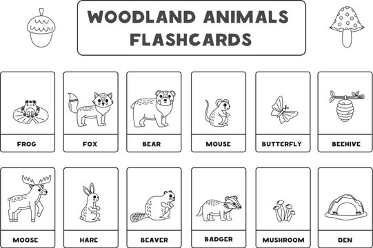 Cute cartoon woodland animals with names. Black and white flashcards.