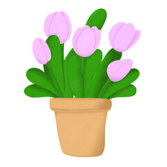 pink flower in pot