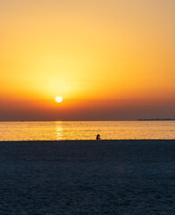 Silhouette of a girl in the beach during sunset. Outdoors