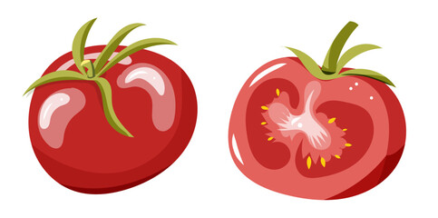 Tomates vectorielle