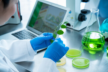 Close-up of a scientist working in a medicinal chemistry laboratory using a laptop