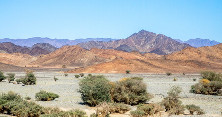 Desert landscape with mountains in the background, near Al Ula, Saudi Arabia