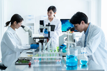 Scientists discussing progress in the laboratory