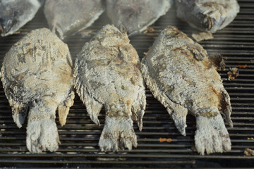 fish is grilled yellow fish seafood
