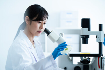 A young Asian female researcher takes her work seriously at the institute