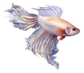 A beautiful exotic betta fish species isolated. Generative AI.