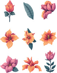 Mandevilla Flower Set, Watercolor Flower Design Vector Set