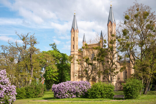 Schlosskirche Neustrelitz Mecklenburg-Vorpommern Tag Sommer