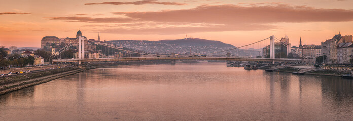 Fototapeta premium Panoramic View of The Elizabeth Bridge Across The Danube and Buda Castle. Hungary.