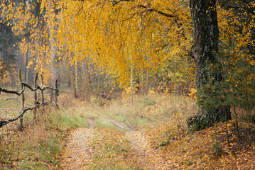 Autumn in countryside, toned picture. Dirt road near old dilapidated fence in rural area