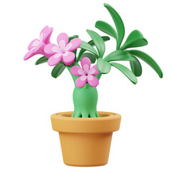 Adenium2 3D Icon