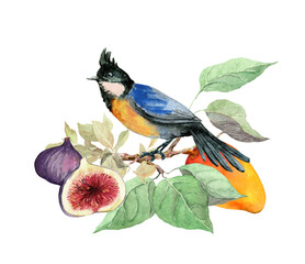 Blue exotic bird with summer fruits on branch with green leaves. Watercolor drawing, summer card beautiful illustration