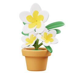 Frangipani2 3D Icon