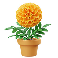 Marigold2 3D Icon