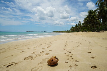 dominican republic, las terrenas, vacations, sea, travel, caribbean