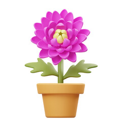 Chrysanthemum 3D Icon
