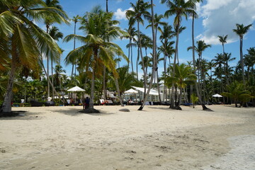 dominican republic, las terrenas, vacations, sea, travel, caribbean