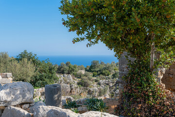 Fototapeta na wymiar A peaceful landscape of trees, rocks and nature illuminated by among the historical ruins creates an atmosphere of serene beauty. Turkeyi Mersin.