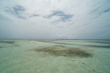 dominican republic, saona, vacations, sea, travel, caribbean