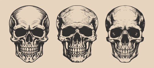 Set of vintage retro scary hipster skull. Can be used like emblem, logo, badge, label. mark, poster or print. Monochrome Graphic Art. Vector. Hand drawn element in engraving