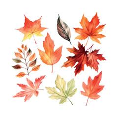 Fototapeta Beautiful autumn leaves watercolor set, great design for any purposes. botanical background. obraz