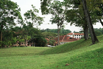 landscape with house