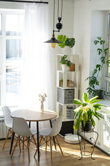 The interior of the house with large windows and home plants round table, chairs, white loft. Houseplant caring for indoor plant, green home
