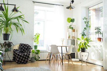 The interior of the house with large windows and home plants round table, chairs, white loft. Houseplant caring for indoor plant, green home