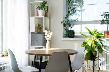 The interior of the house with large windows and home plants round table, chairs, white loft. Houseplant caring for indoor plant, green home